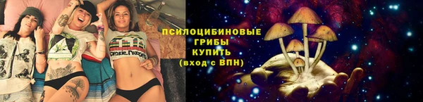 тгк Абдулино