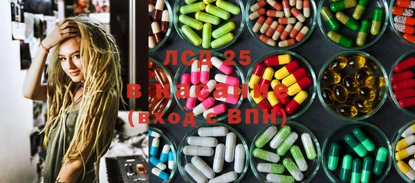 PSILOCYBIN Абаза