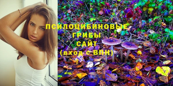 PSILOCYBIN Абаза