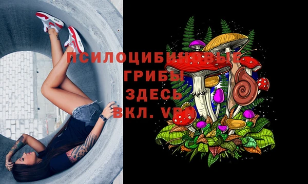 тгк Абдулино