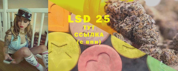 PSILOCYBIN Абаза