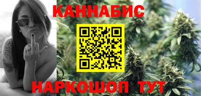 прущие крисы Будённовск