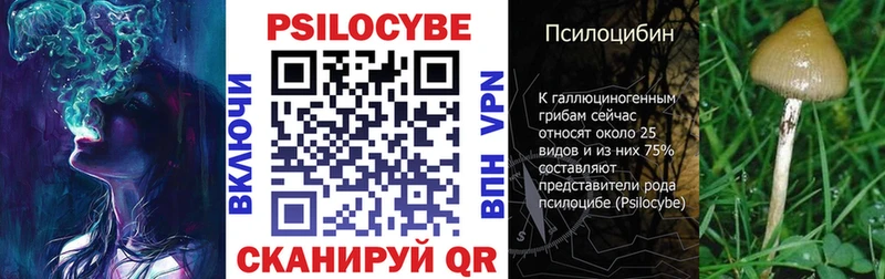 Купить закладки  Азов  Псилоцибиновые грибы прущие грибы 