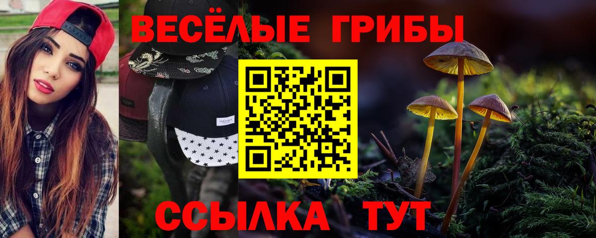 Галлюциногенные грибы Psilocybine cubensis Азов