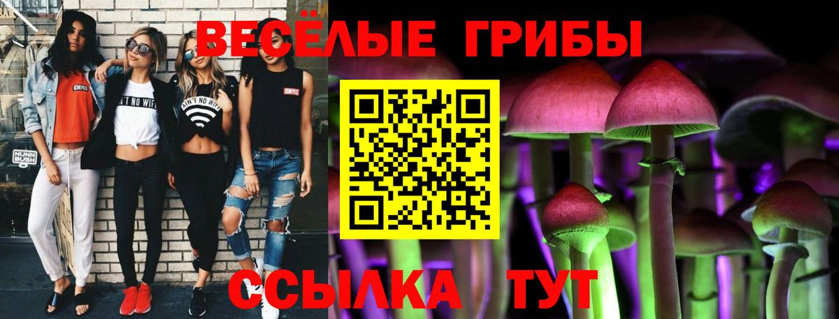 Псилоцибиновые грибы прущие грибы  Псилоцибиновые грибы мухоморы  Азов 